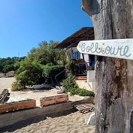 Renove A 500m Des Plages, Terrasse, Animaux Admis - Fr-1-776-131 Apartment *