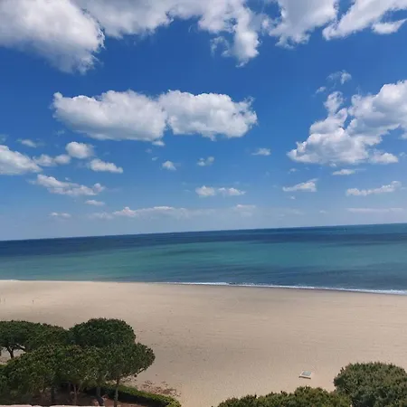 Renove A 500m Des Plages, Terrasse, Animaux Admis - Fr-1-776-131 * Argelès-sur-Mer