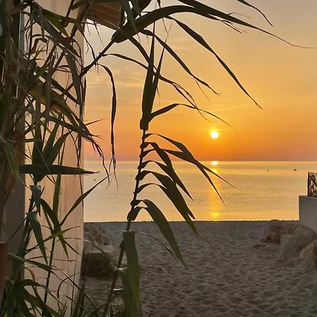 Renove A 500m Des Plages, Terrasse, Animaux Admis - Fr-1-776-131 *
