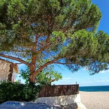 Renove A 500m Des Plages, Terrasse, Animaux Admis - Fr-1-776-131 Apartment *